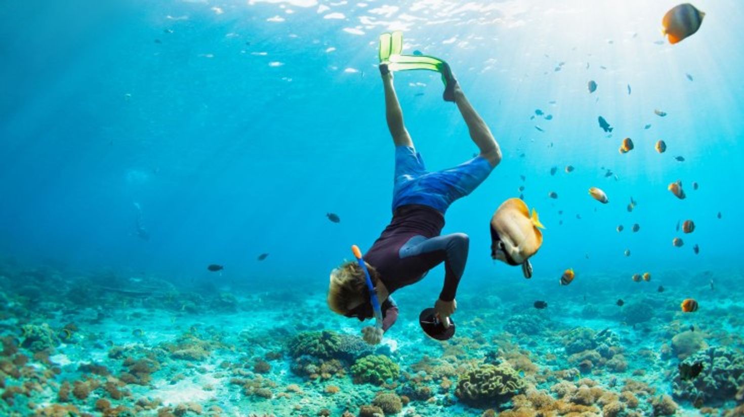 A man snorkeling with tropical fishes in coral reef sea.