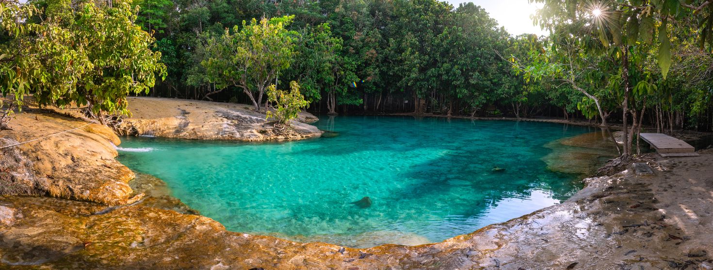 Emerald Pool in mangrove forest at Krabi, Thailand in November.