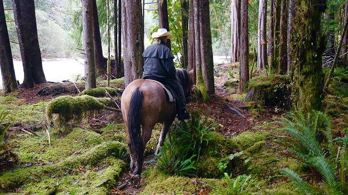 Exclusive hotels clayoquot horseriding.