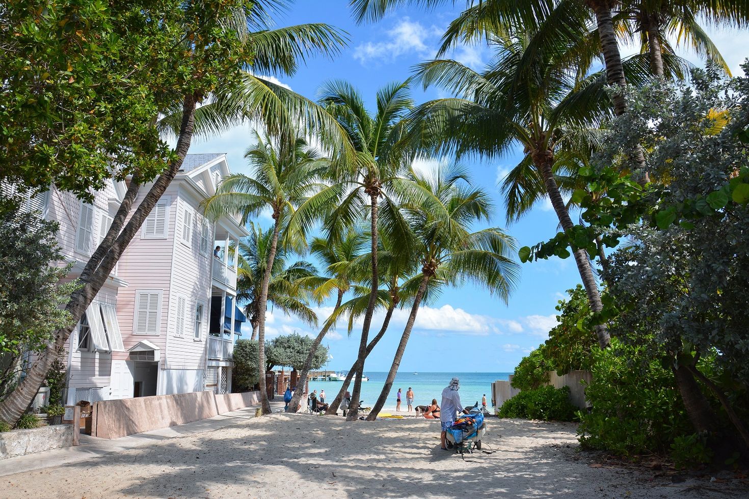 Palm trees line up the beach of Florida Keys with quaint white houses