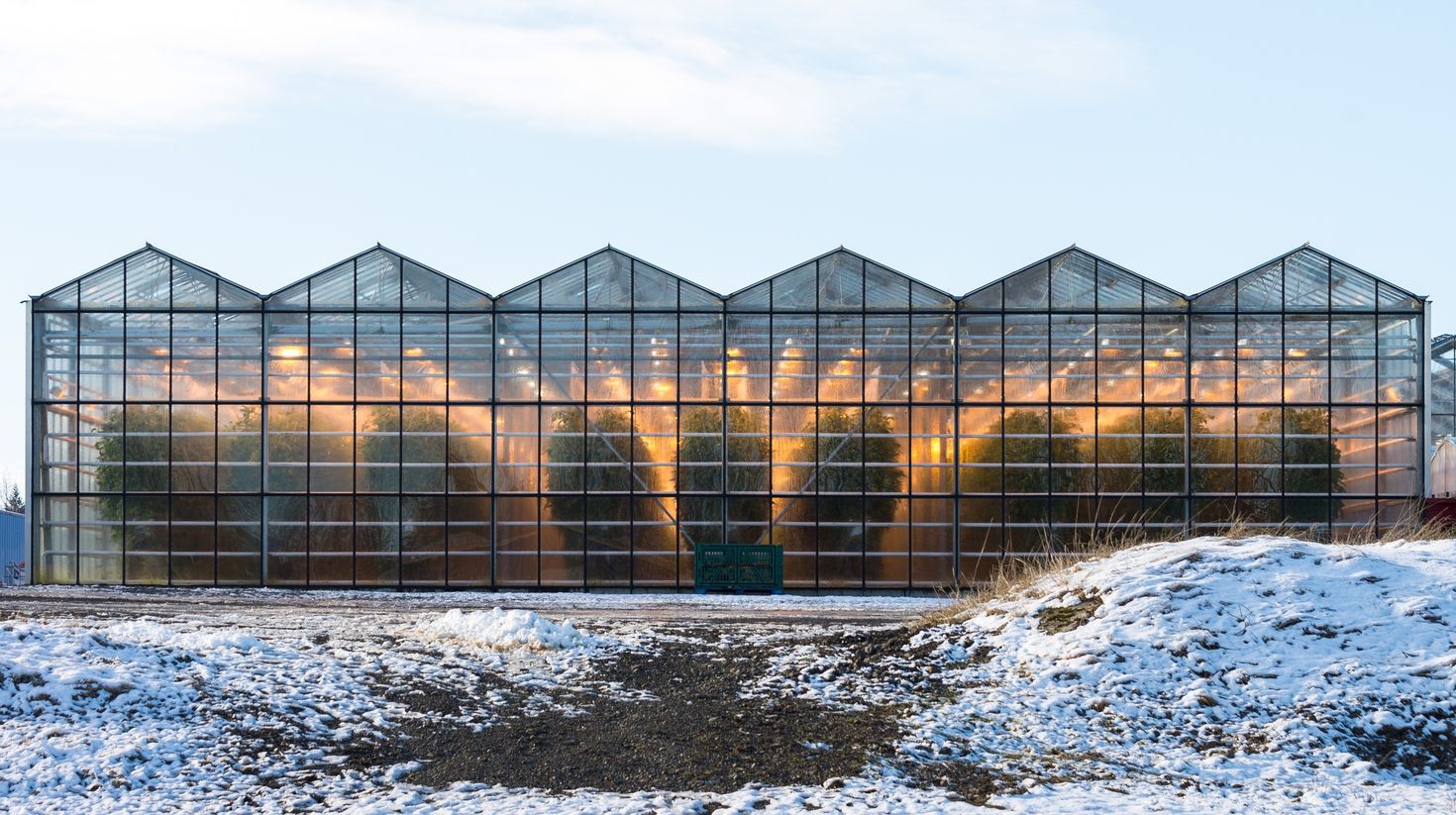 Part of the attraction of The Golden Circle is the greenhouses in Hvergerdi