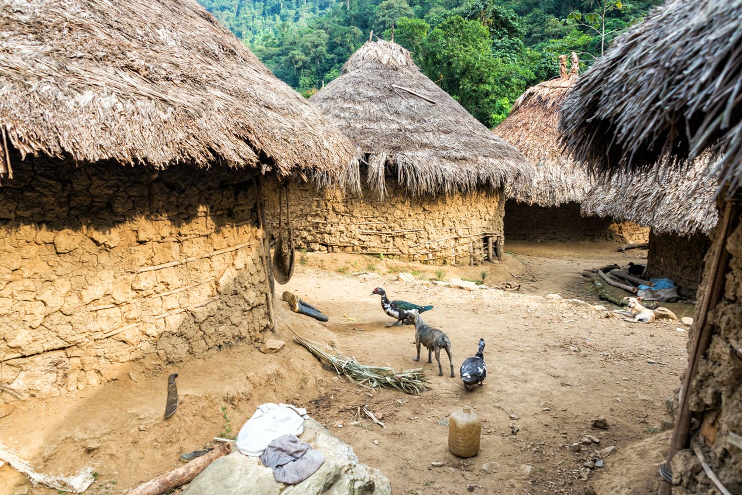 An indigenous village on the Lost City Trek trail