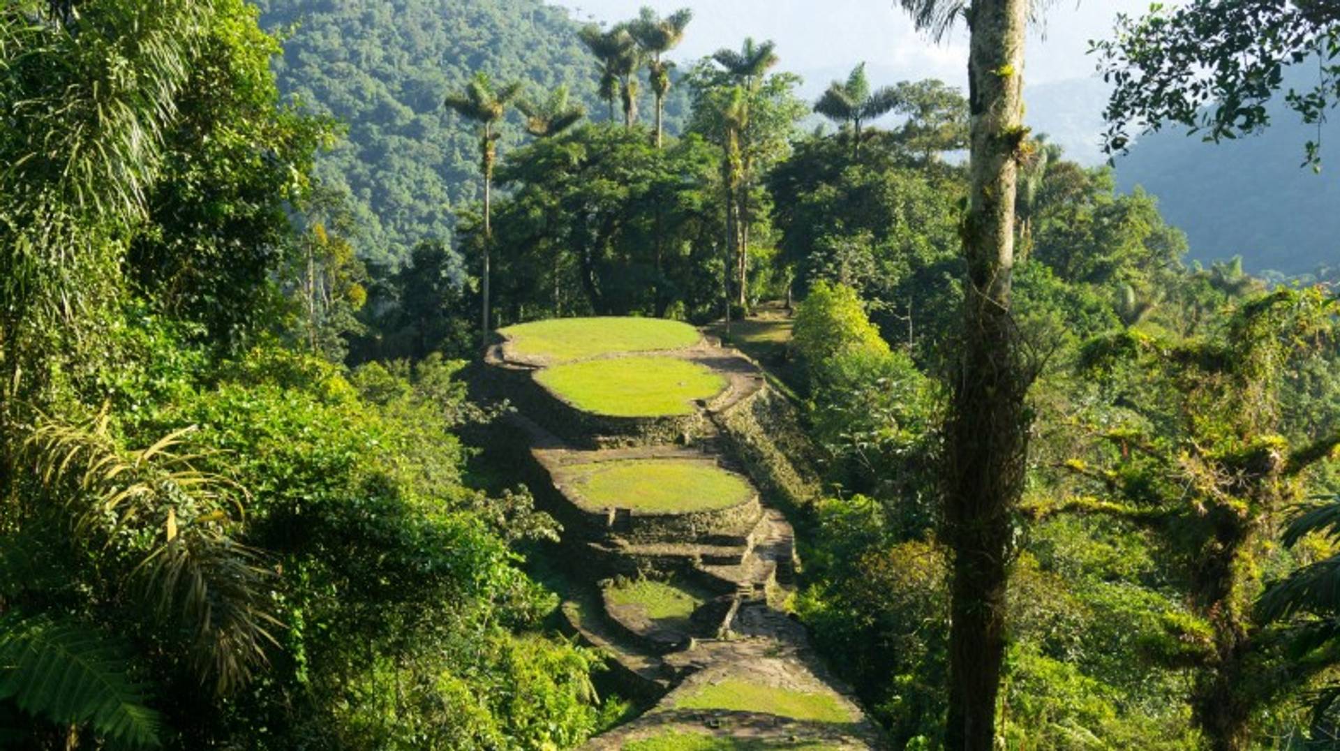The Lost City Trek in Colombia: A Guide for Adventurous Spirits!