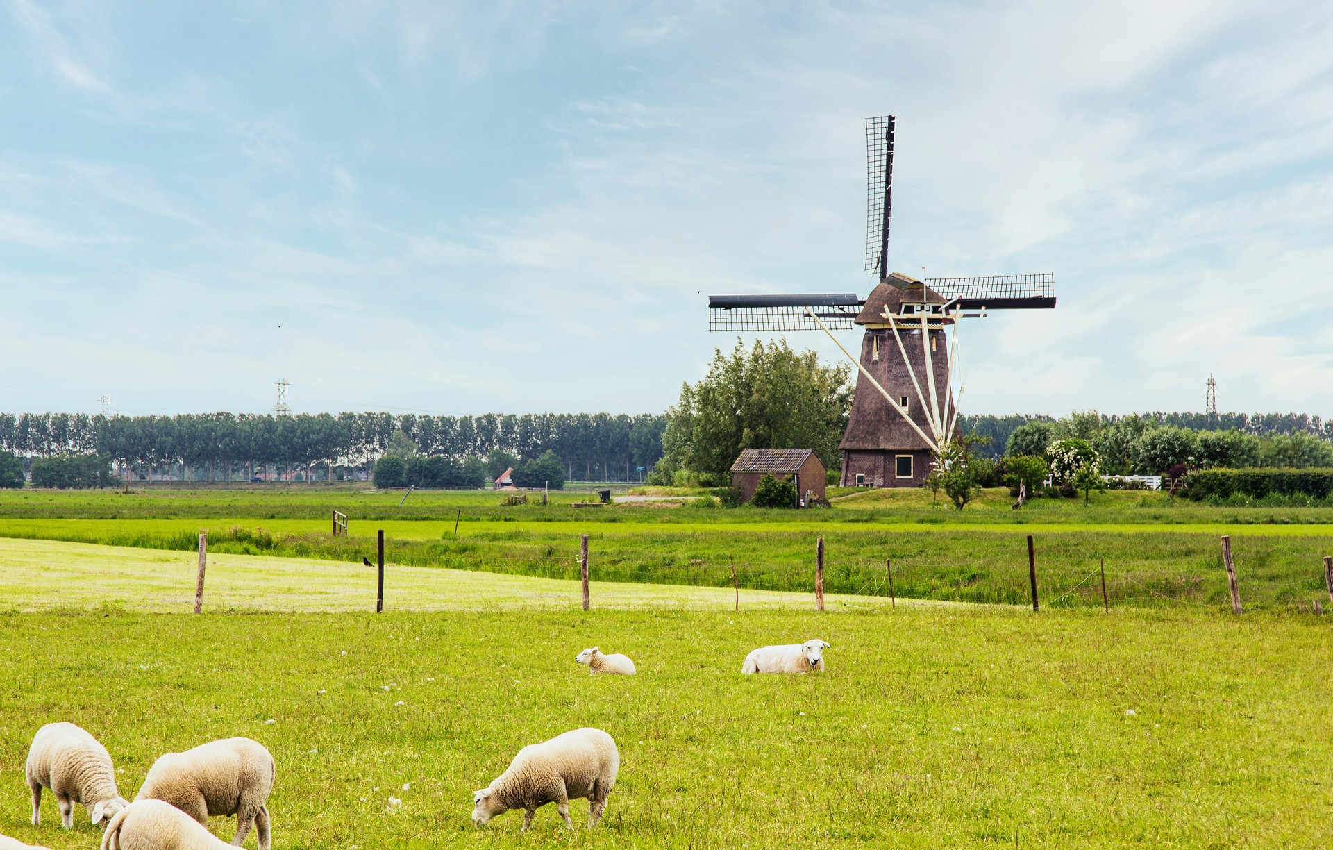The countryside of the Netherlands is dotted with some 1,200 historic windmills. Country side of the Netherlands featuring a traditional windmill