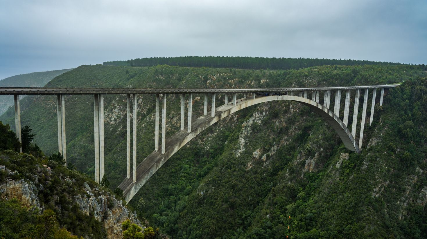 Bloukrans Bridge in the Garden Route South Africa
