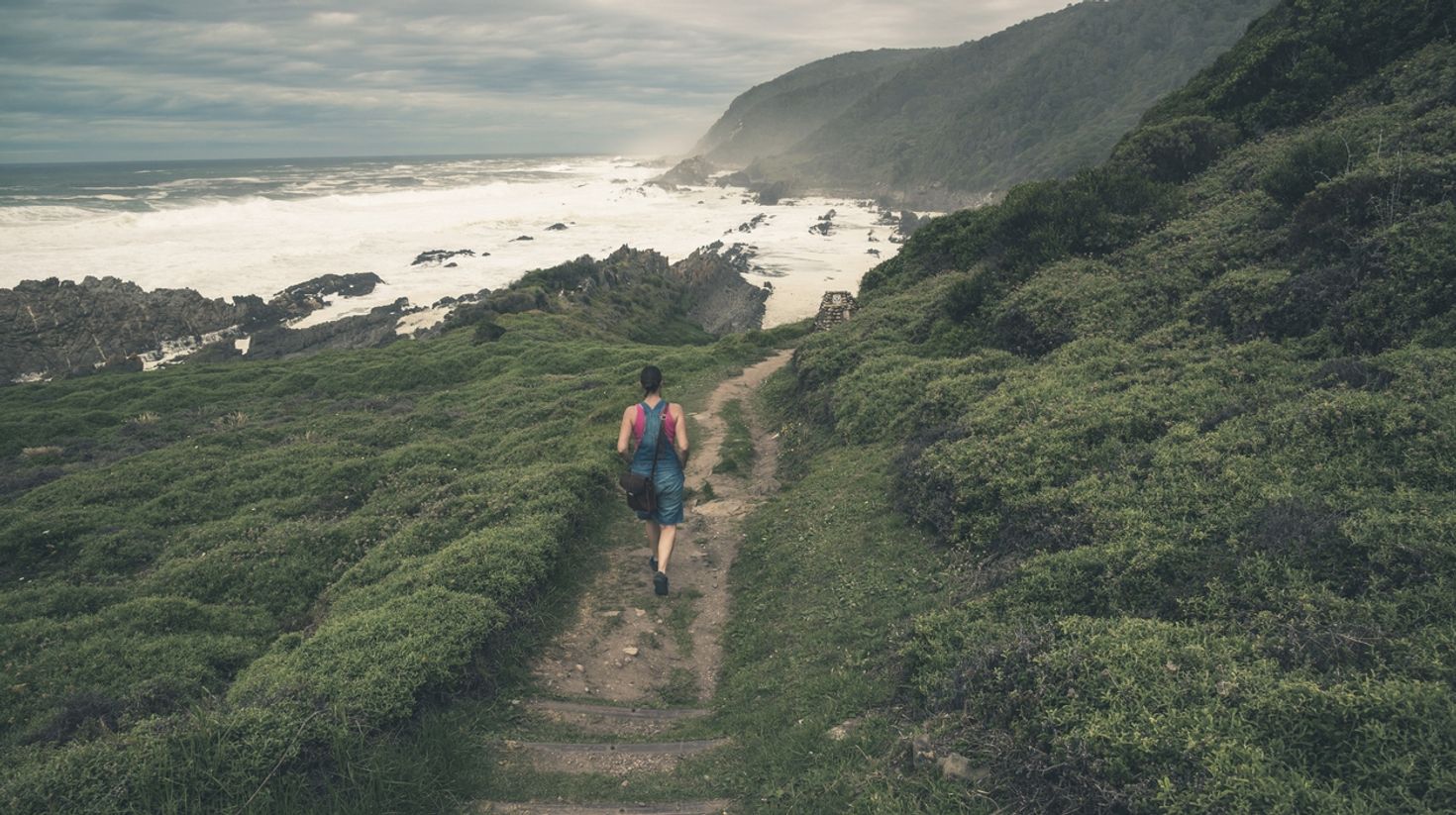 Tsitsikamma Forest in the Garden Route, South Africa
