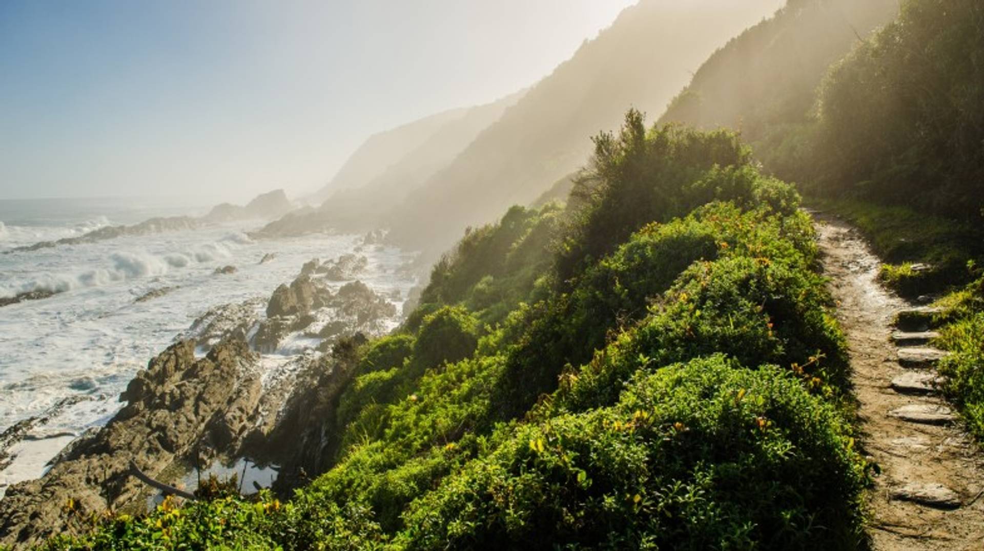 The Otter Trail: South Africa’s Most Famous Trekking Route