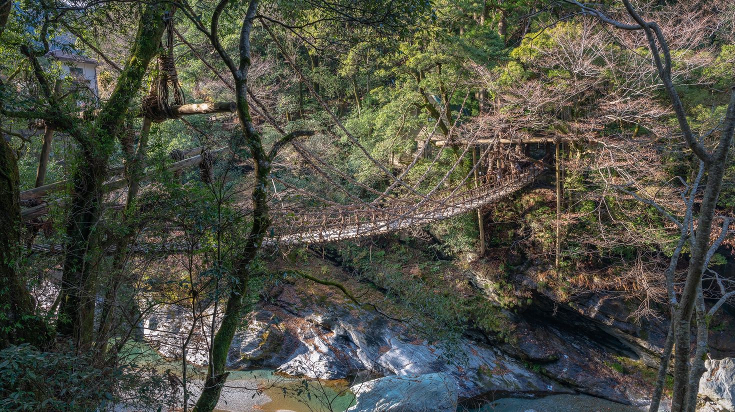 The vine bridges admist the dense forest makes Iya Valley one of the best places to visit in Japan.