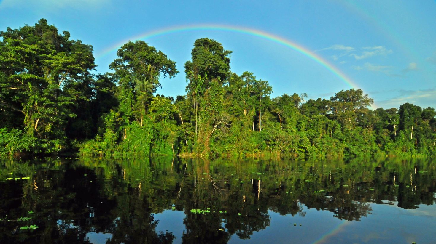 The Amazon River outside of Iquitos in the northern jungle