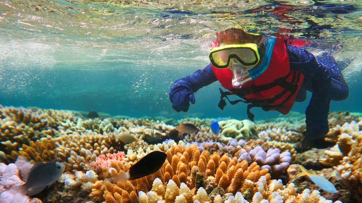 A man scuba diving in the Great Barrier Reef.