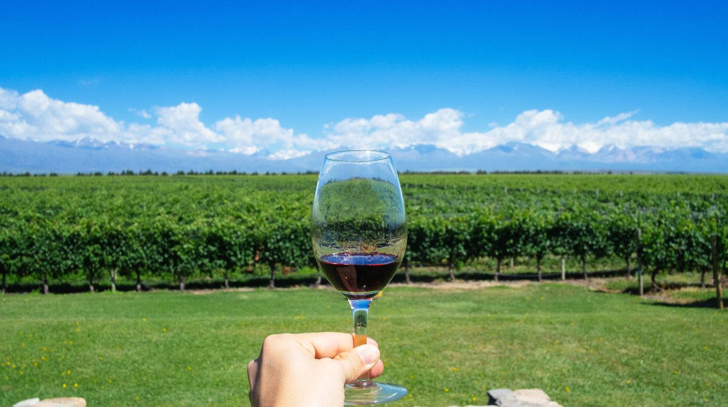 A hand holding wine in the wine regions of Argentina during a clear day.