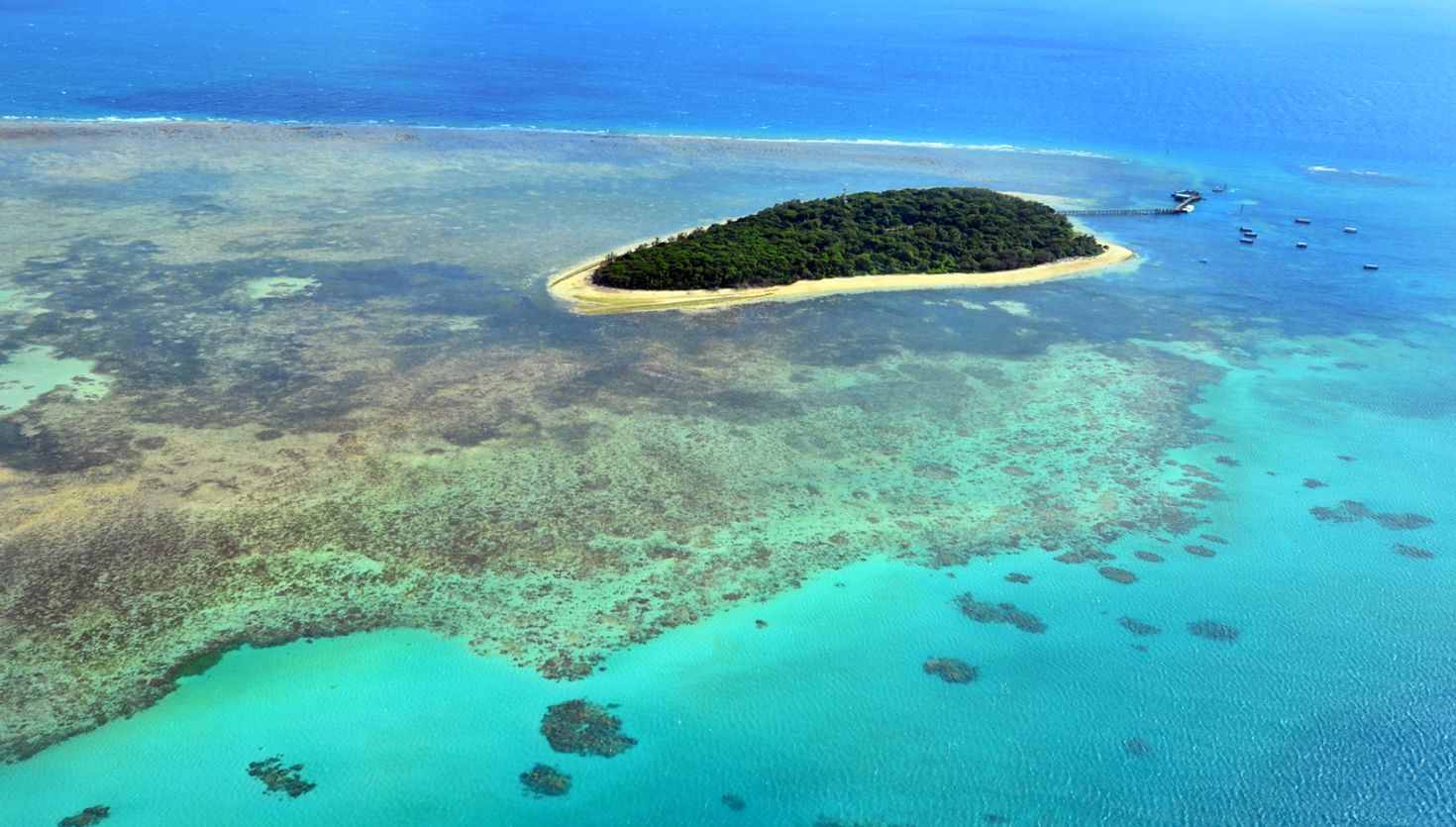 Things to do in Cairns Coral Reef