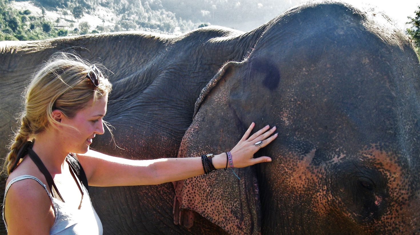 Visit Knysna Elephant Park in Garden Route National Park