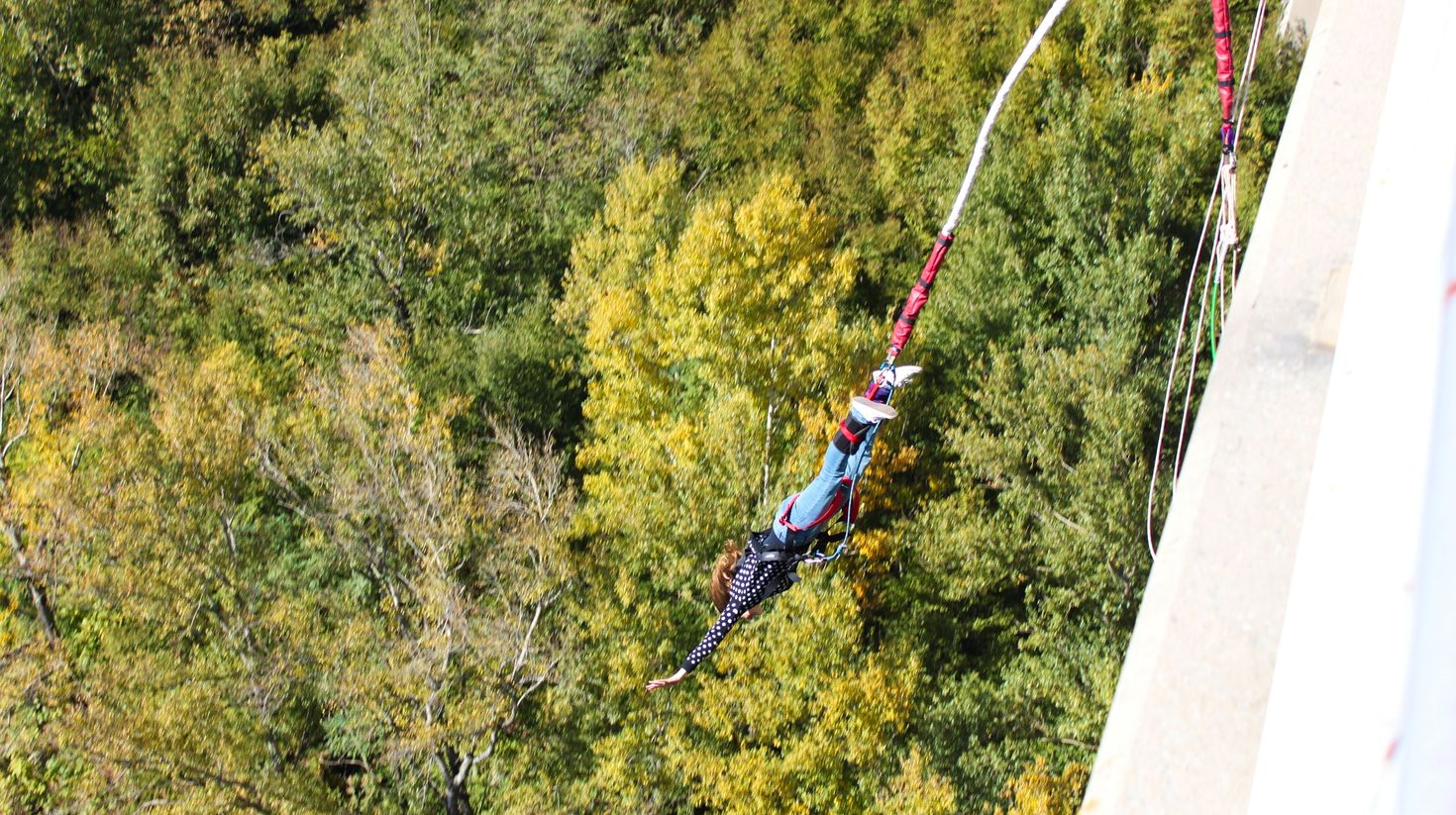 Bungee jumping in Garden Route National Park
