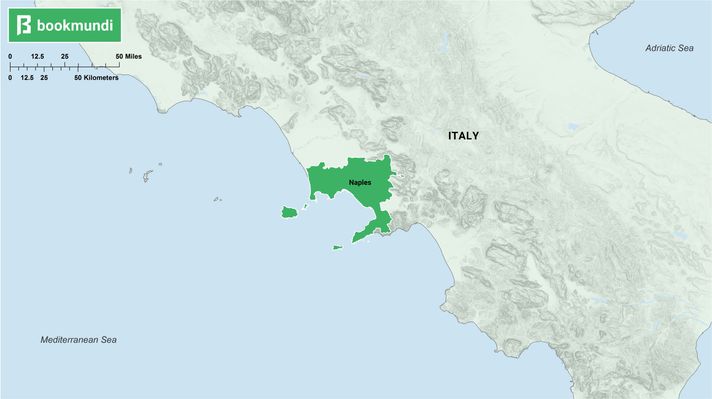 An overview map of Naples