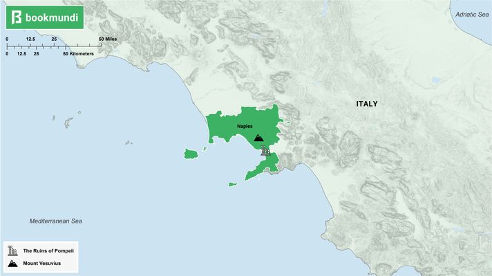An overview map of Naples.