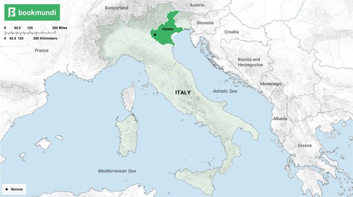 An overview map of Verona.