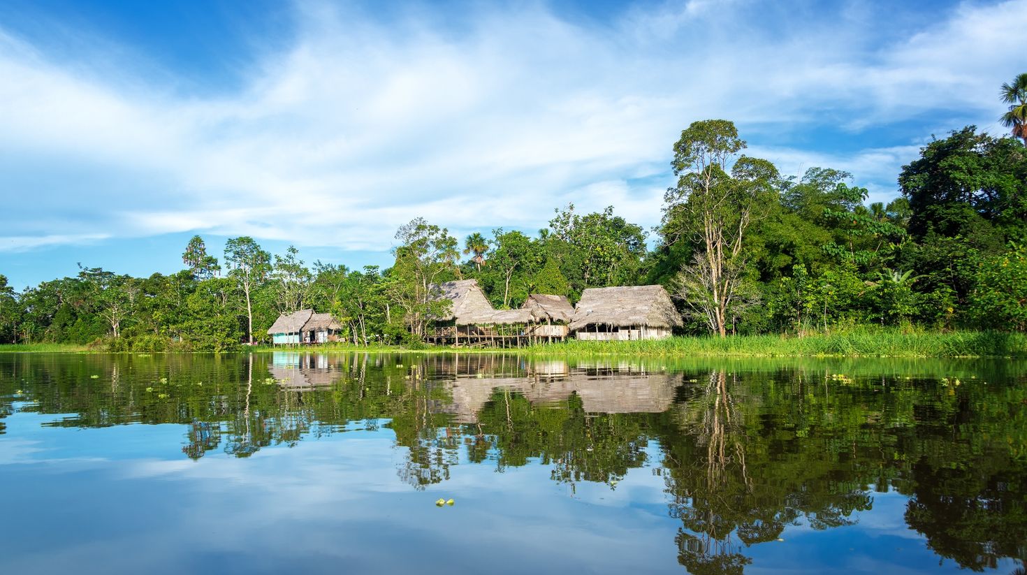 Peruvian Amazon rainforest in Peru