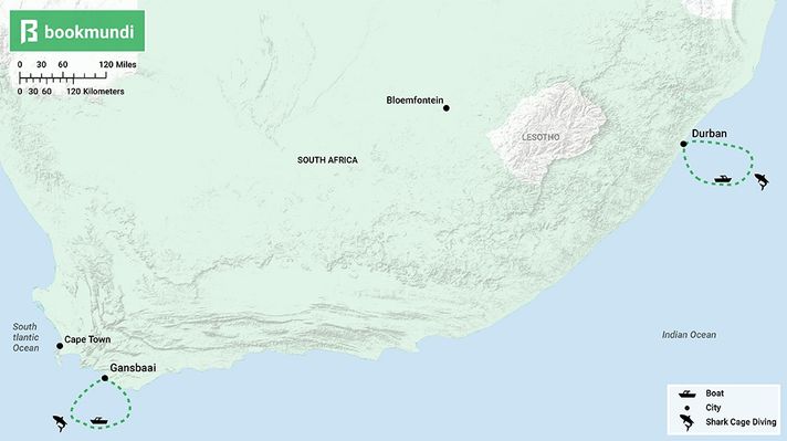Shark cage diving spots in South aFrica