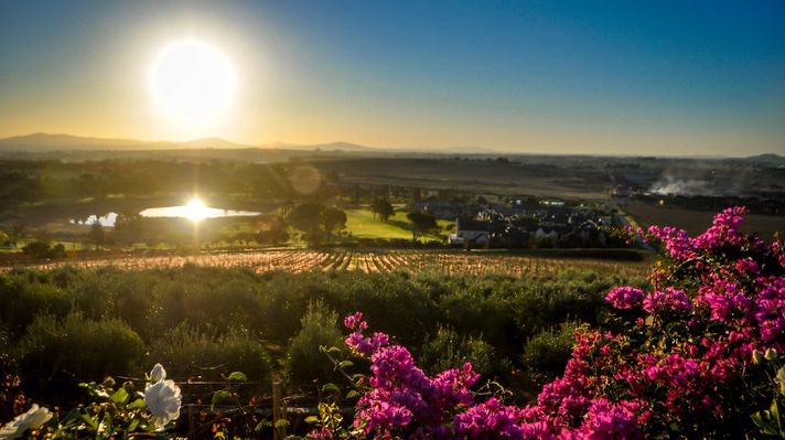 Cape Winelands in South Africa