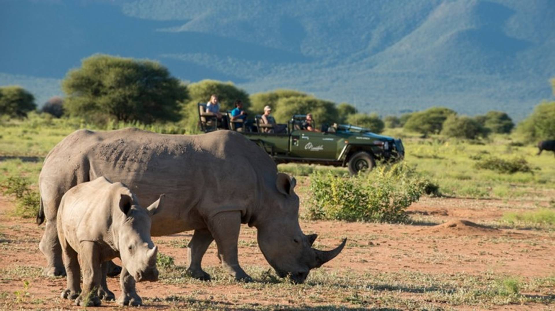 Things to Do in South Africa