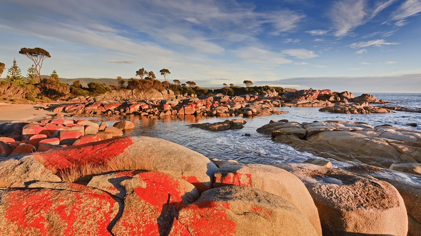 Bay of Fires consists of stones covered with red lichen.