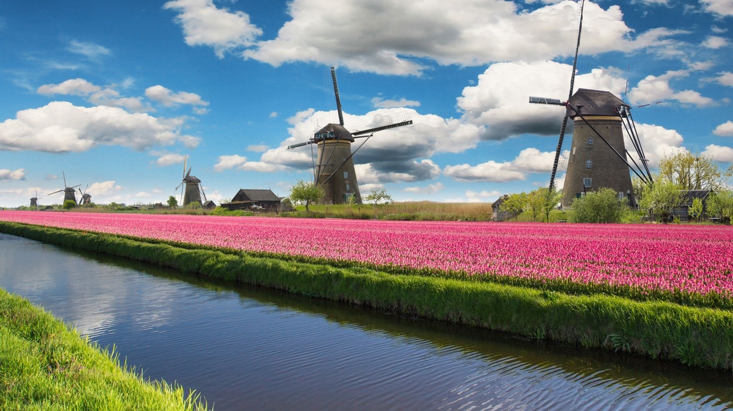 Looking for a thing to do in Netherlands? Visit the windmills.