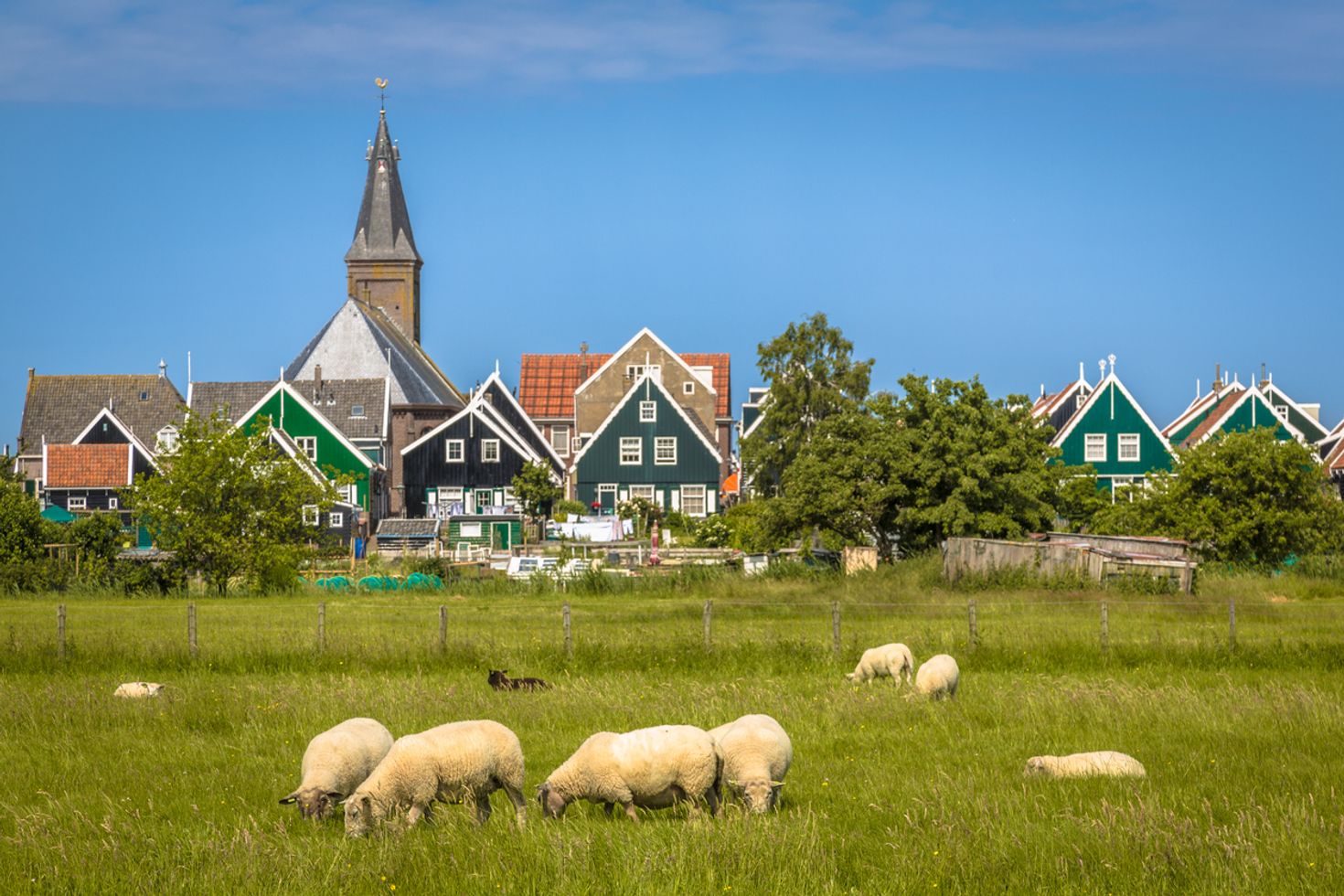 Visit the windmills and the houses as things to do in the netherlands