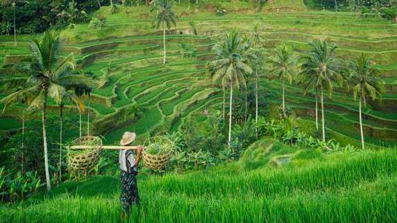 13 Fun Things to Do in Ubud