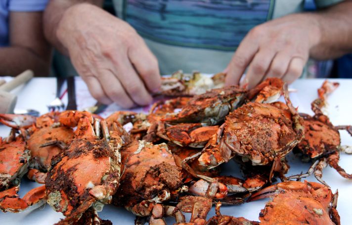 Freshly steamed crabs in Maryland restaurants