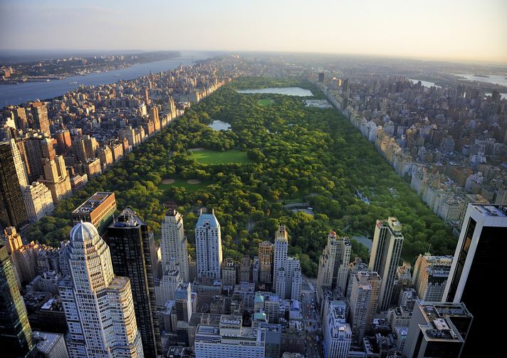 A huge patch of lush, green park amidst the skycrappers in New York