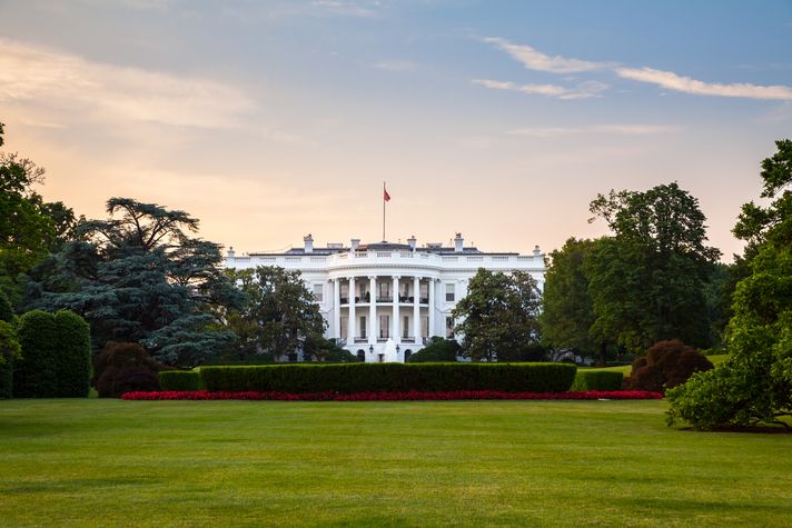 The white house and its lush lawn in Washington DC
