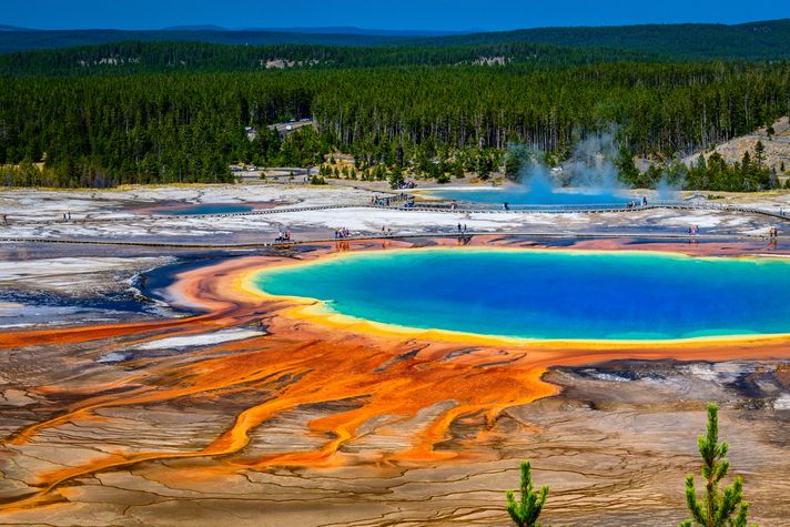 The kaleidoscope Grand Prismatic Spring in Yellowstone National Park