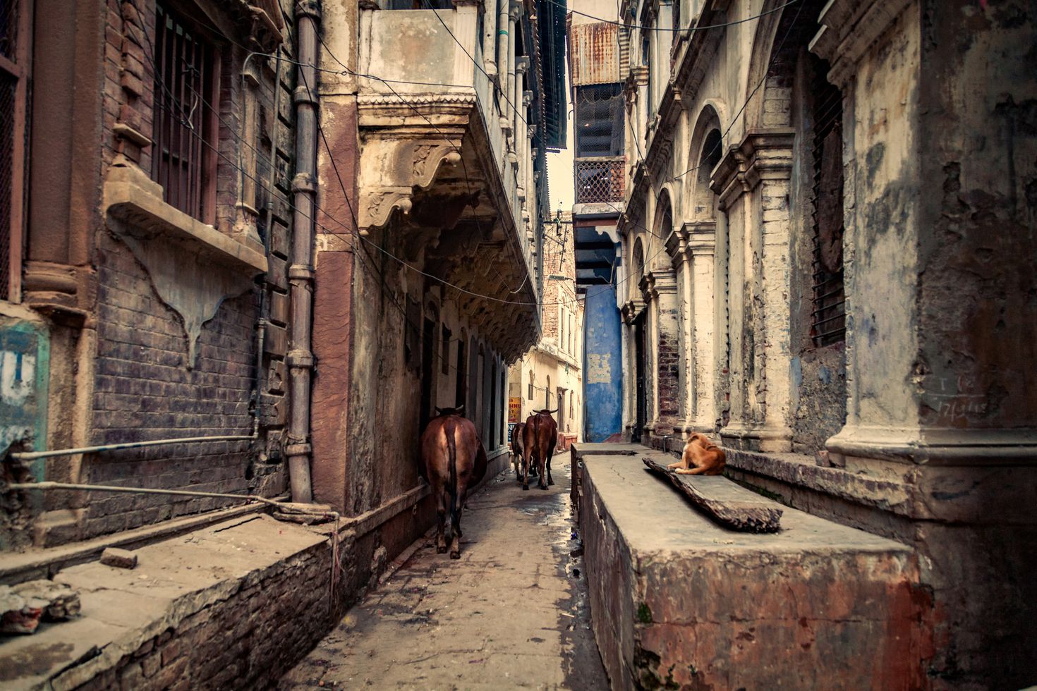 Alleys in Varanasi