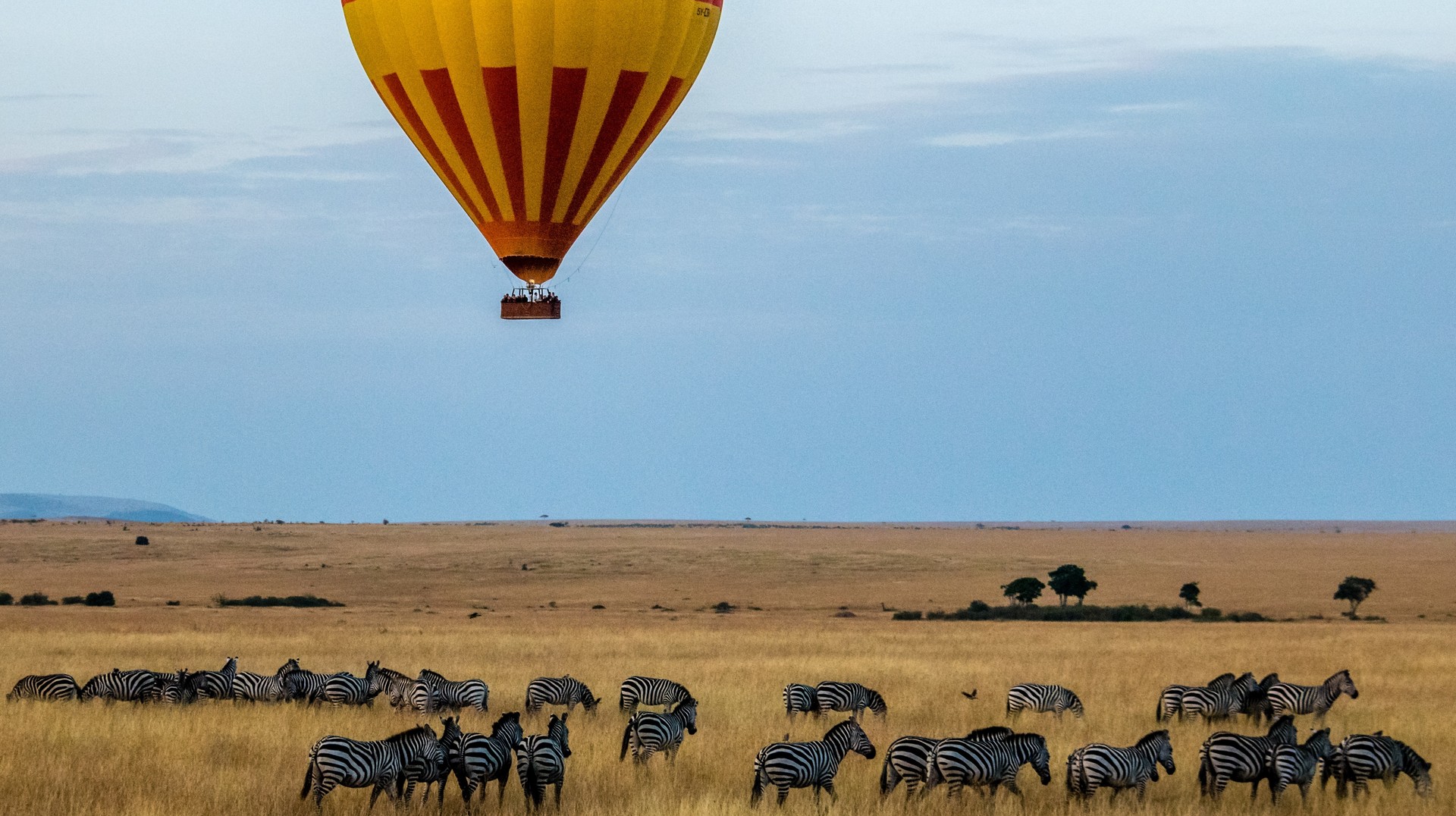 Enjoy a hot air balloon ride over the Masai Mara National Park, which is brimming with wildlife. Masai Mara national park is a must see place while in Kenya.