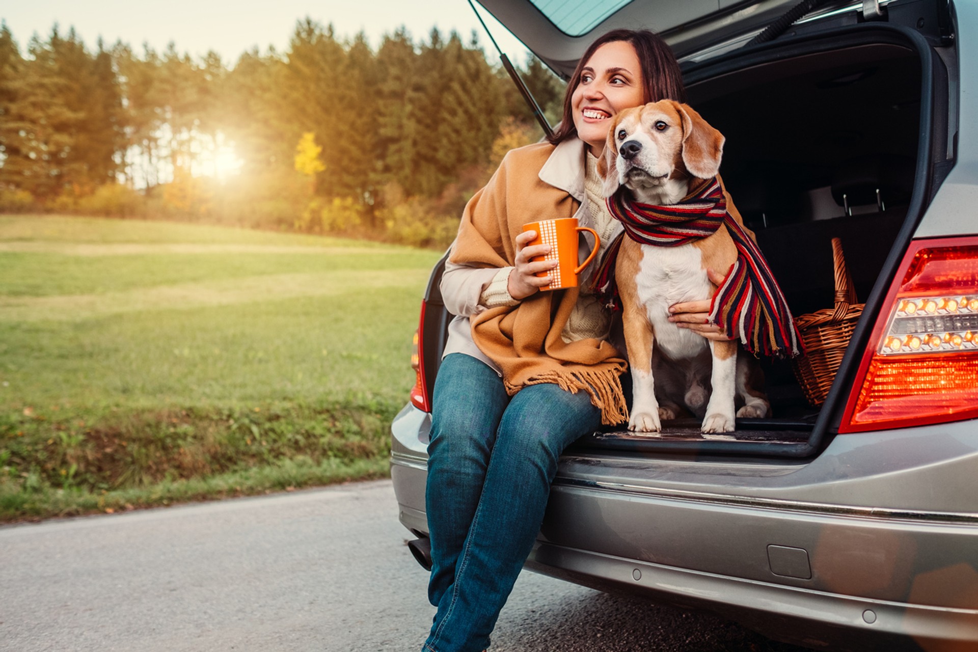 Some useful tips can make traveling with pets a simple task.