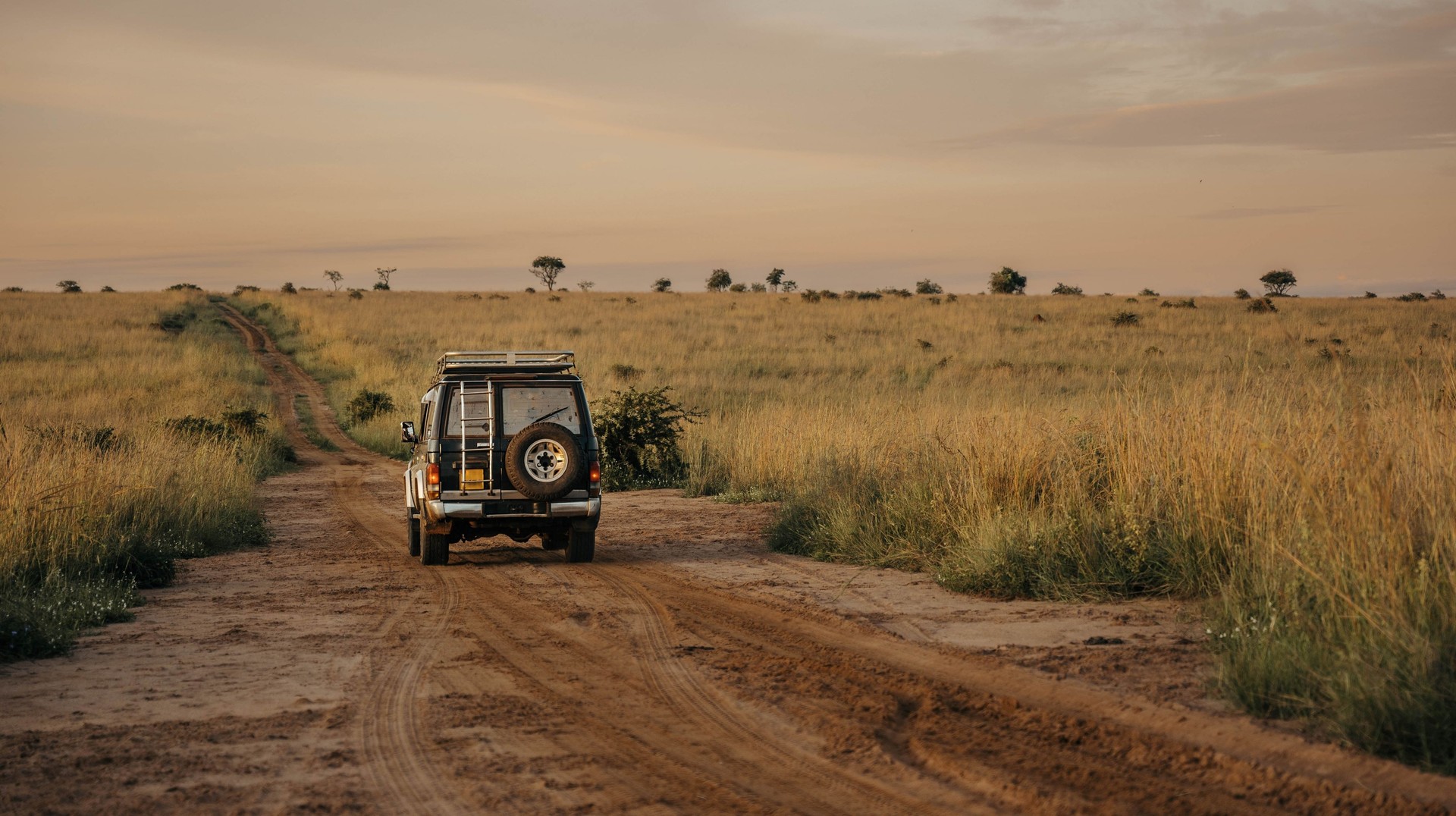 Game drive in the Northern savannah which is a top place to visit in Uganda.