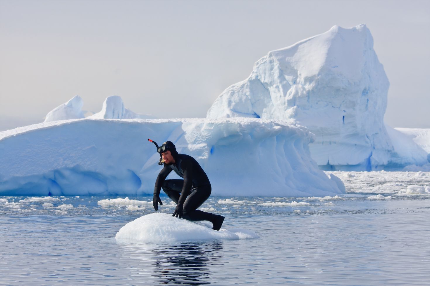 diving in antarctica