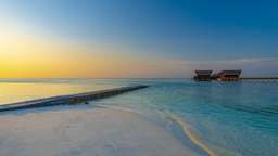 Things to Do in the Maldives