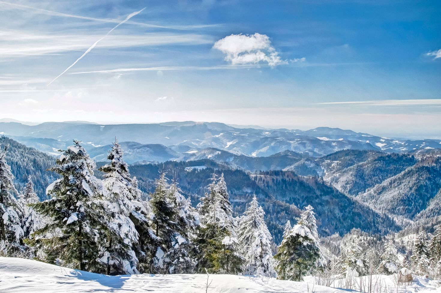 Vacation packages in Germany demands a visit to the Black Forest