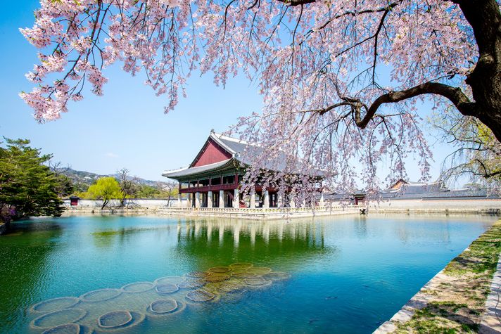 Gyeongbokbung palace in seoul
