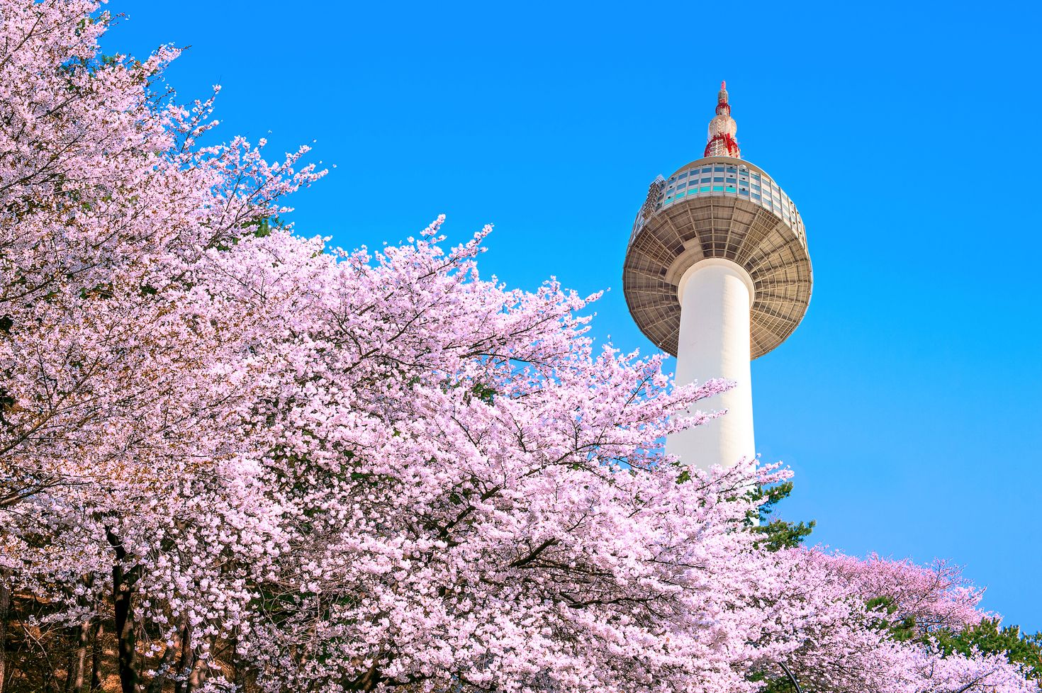 N Seoul tower
