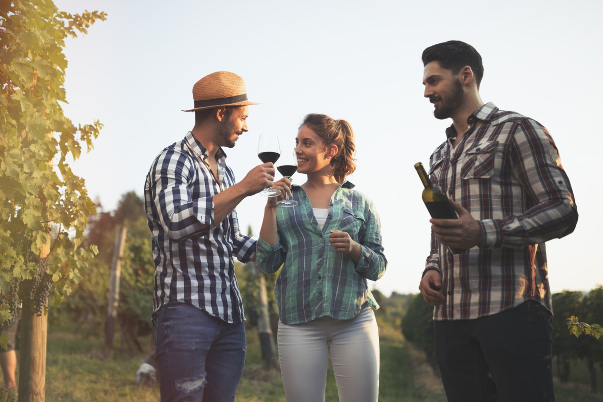 A wine tasting tour in the Chilean wine regions is an unforgettable experience Chile is as popular with people who want to relish the good things in life, as it is with the adventure enthusiasts.