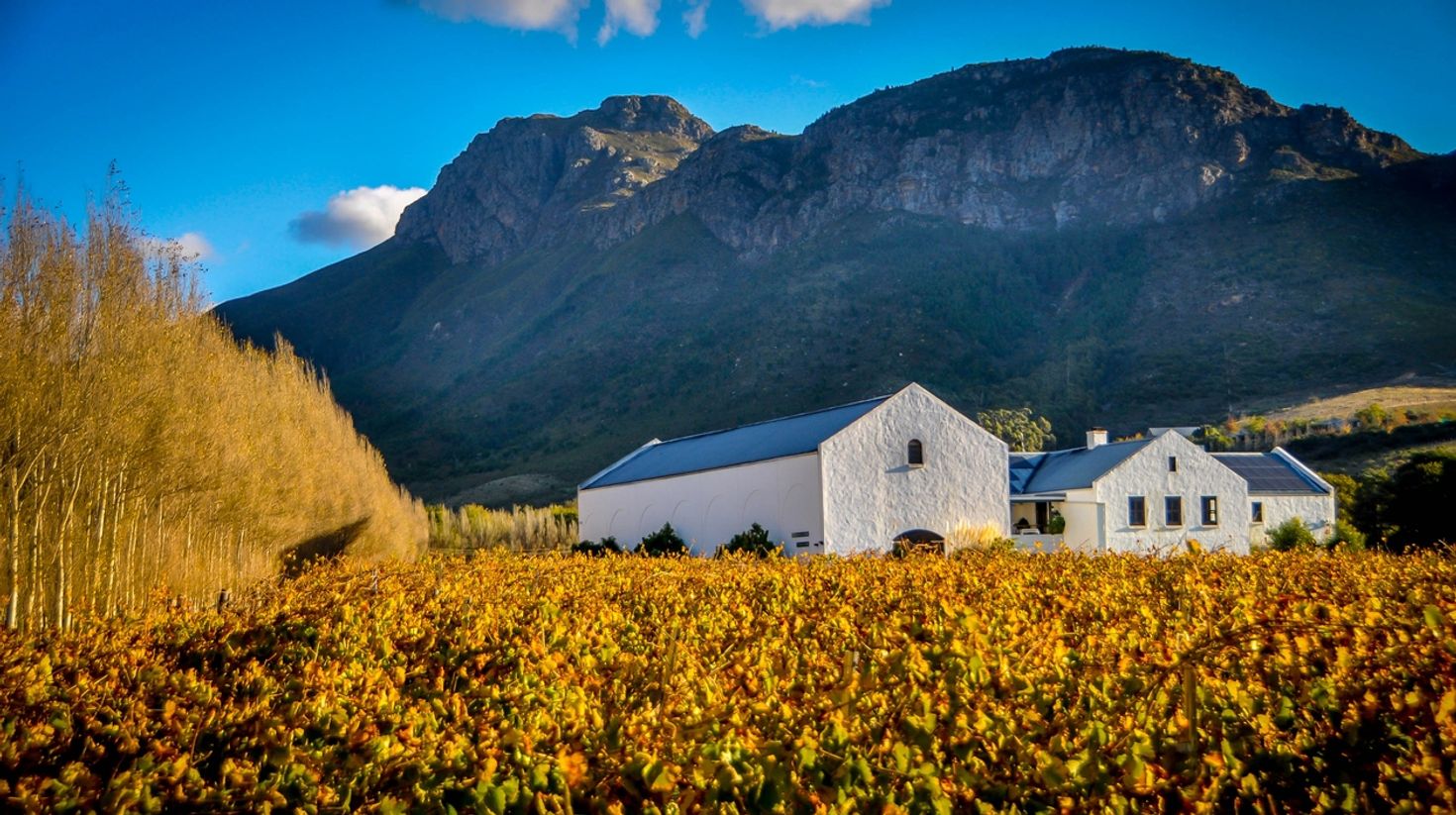 A wine farm in the town of Franschhoek in Cape Town.
