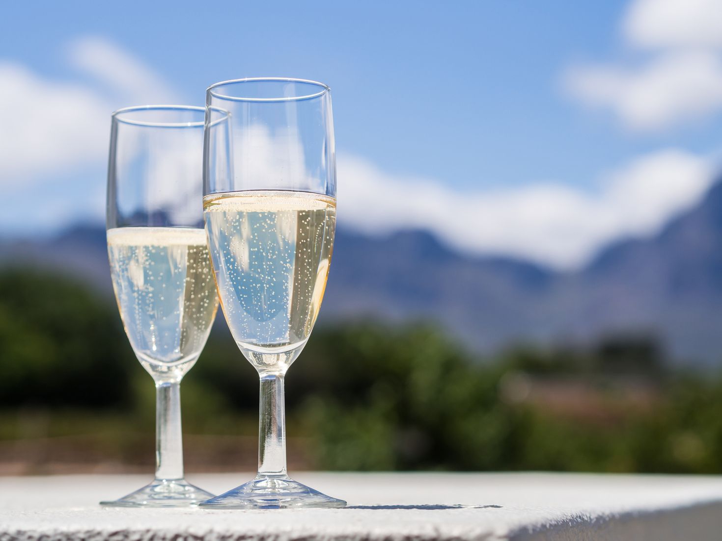 White sparkling wine in a garden of a winery close to Franschhoek.