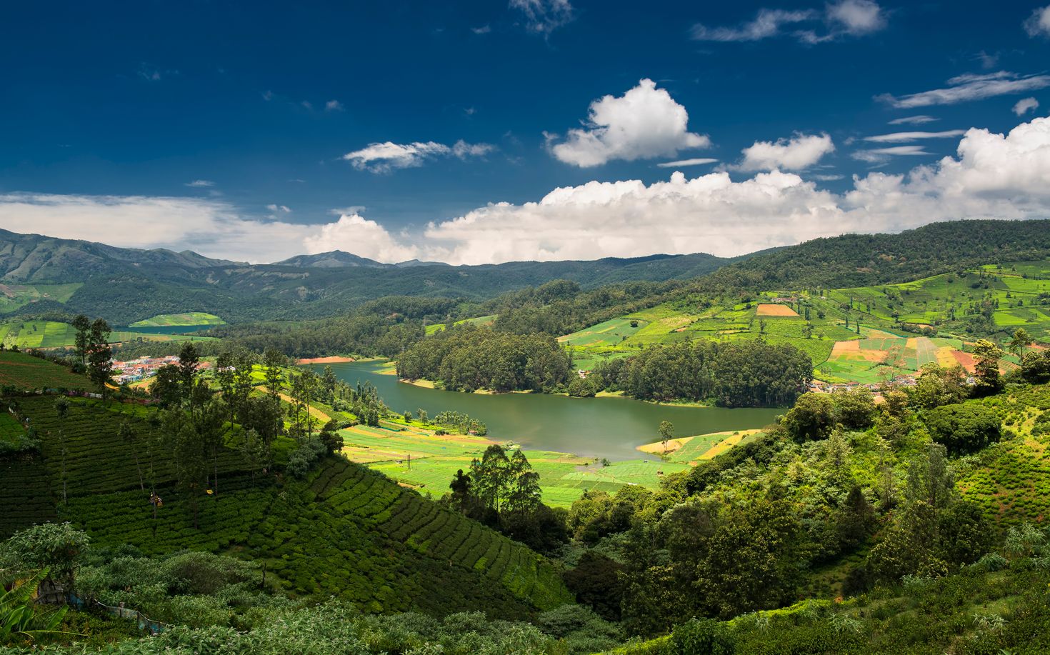Ooty is a wonderful place to visit in India