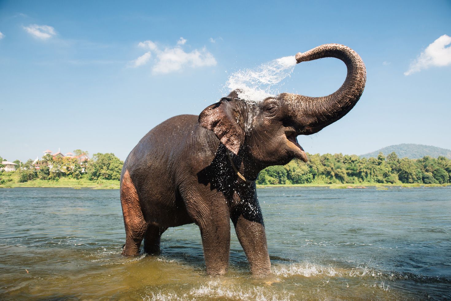 Periyar National Park in Kerala is a must-visit