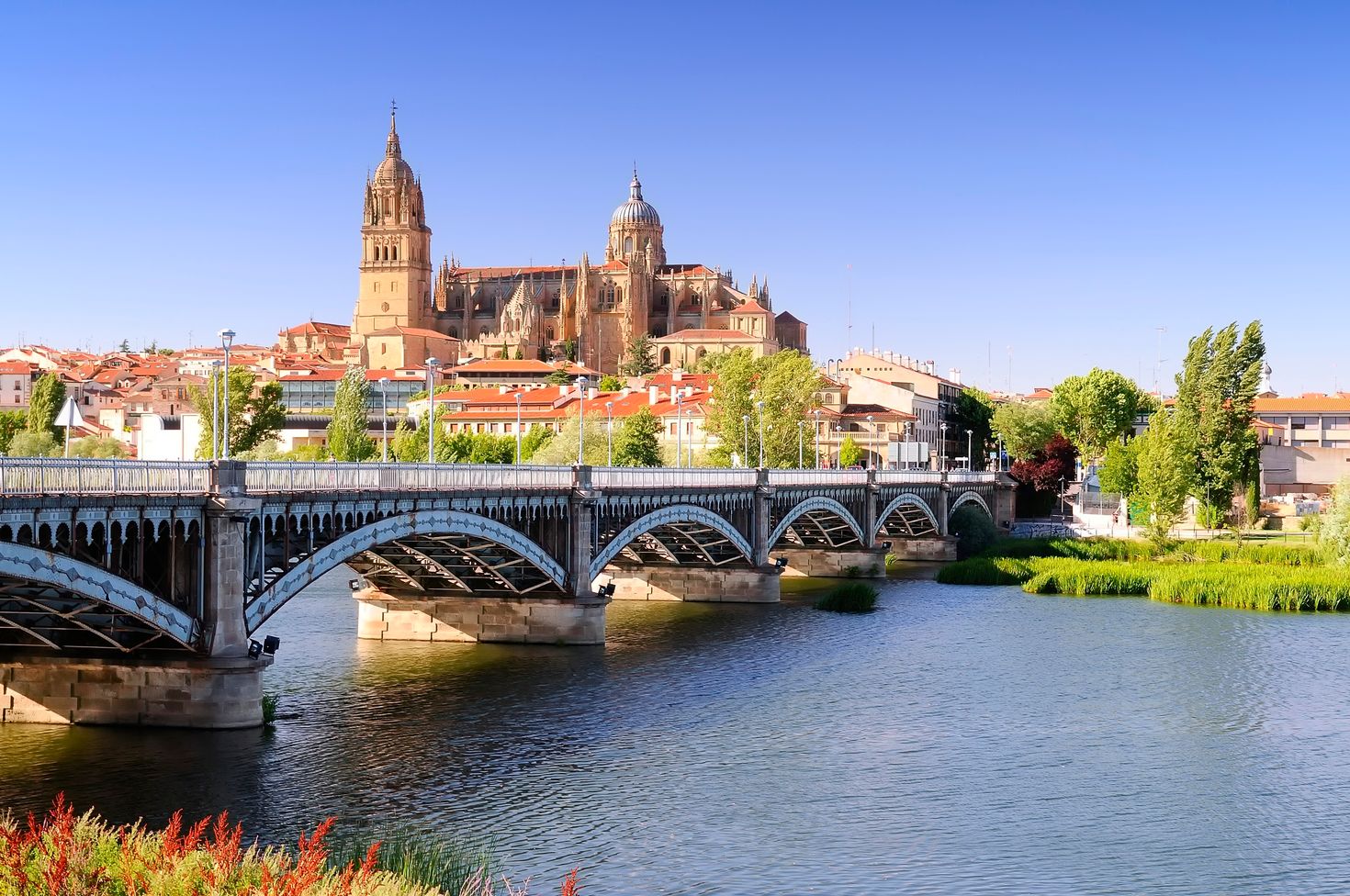 Madrid to Salamanca day trip