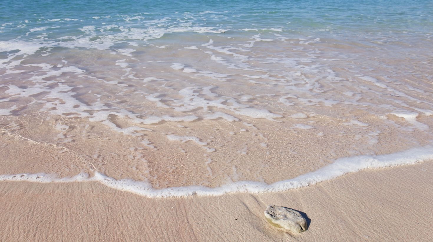 One of only two pink beaches in Indonesia is situated in Lombok.