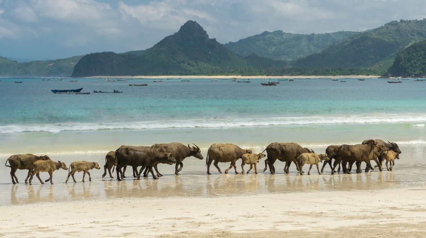 Selong belanak beach in Lombok is a peaceful and quite place to relax.
